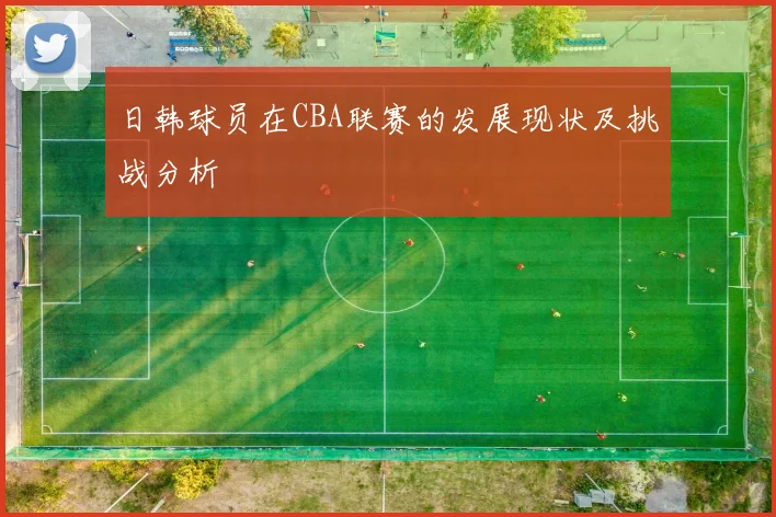 日韩球员在CBA联赛的发展现状及挑战分析