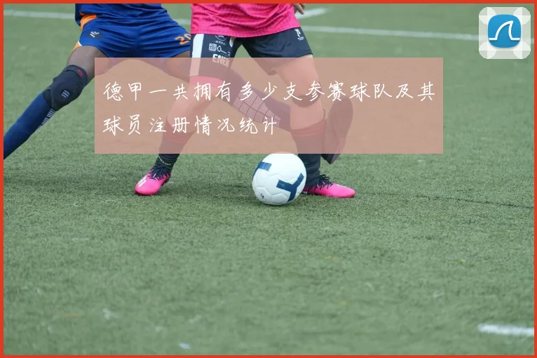 德甲一共拥有多少支参赛球队及其球员注册情况统计