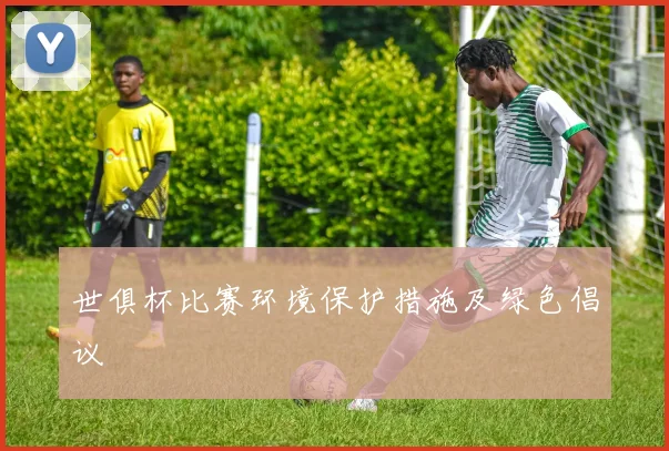 世俱杯比赛环境保护措施及绿色倡议
