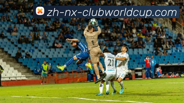 世界杯官网发展历程